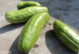 脆瓜怎样吃,探索美味与营养的完美结合