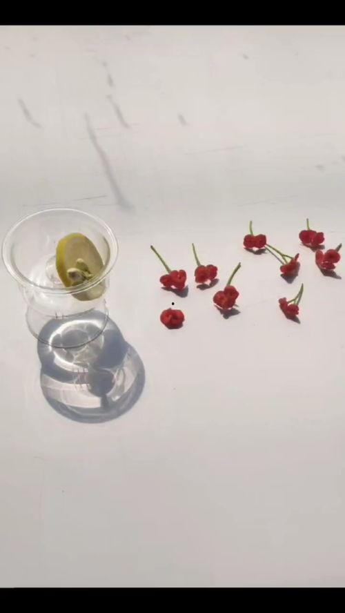 如何吃静冈网纹瓜,品味日本夏日甘甜的秘密