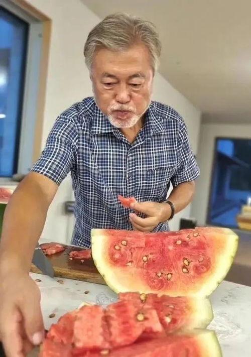 文在寅吃瓜 猪吃的,一场意外的跨界“盛宴”