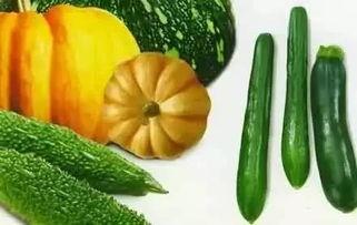 觅渡吃瓜,探寻觅渡吃瓜背后的故事与趣味