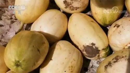 吃瓜违规,那些你不知道的违规红线