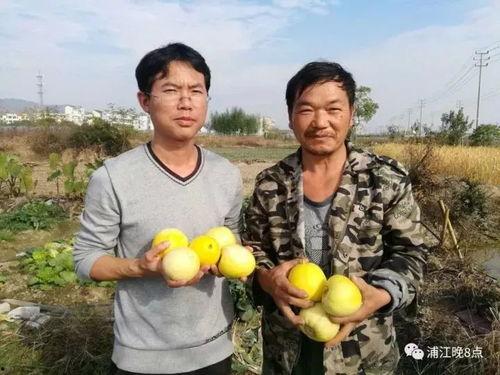 吃瓜群众八一,揭秘“吃瓜群众八一生”背后的故事与影响