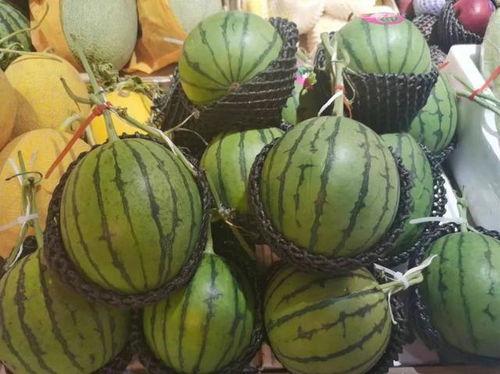 爱甜吃瓜,爱甜吃瓜的味蕾之旅