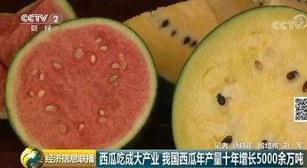 吃瓜群众早起吃西瓜