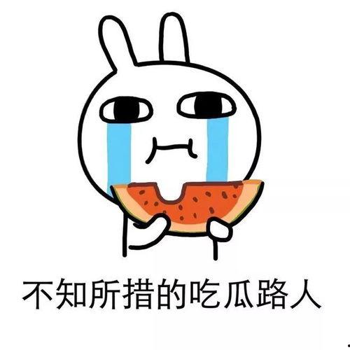 等下班吃瓜,瓜田里的欢乐时光