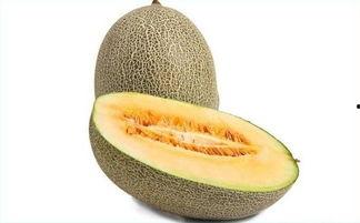 明天吃哈密瓜