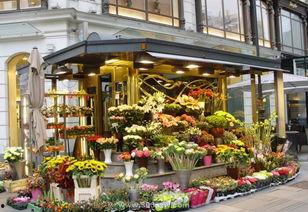 保定吃瓜花店,品味生活，尽享花语时光