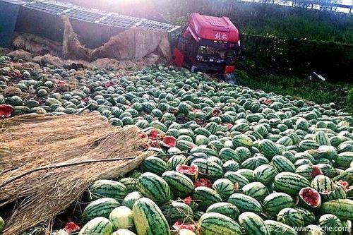 双牌二村吃瓜信息,夏日乡村趣味生活全景