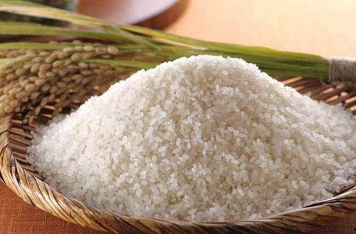 砀山吃瓜大米,吃瓜与大米共舞的田园风情