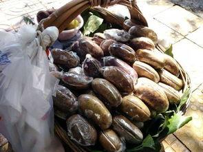 贵阳花园吃瓜,夏日吃瓜新风尚，品味生活新体验